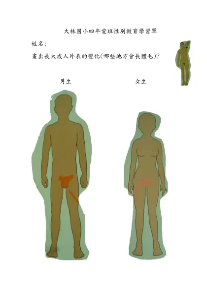 大林國小四年愛班性別教育學習單-姓名:畫出長大成人外表的變化(哪些地方會長體毛)?